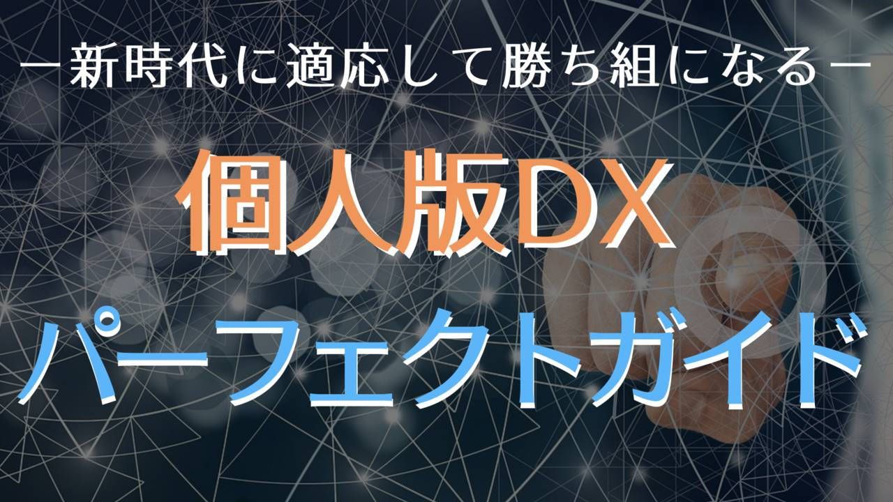 個人版DXパーフェクトガイド